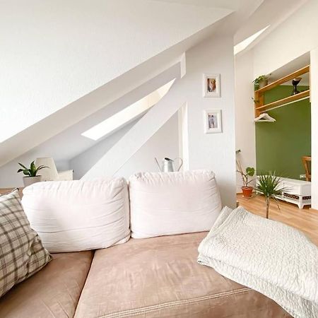 Schoene Ferienwohnung Mit Blick Ueber Stadtwald لبسيا المظهر الخارجي الصورة