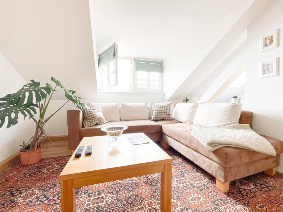 Schoene Ferienwohnung Mit Blick Ueber Stadtwald لبسيا المظهر الخارجي الصورة