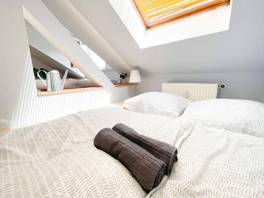 Schoene Ferienwohnung Mit Blick Ueber Stadtwald لبسيا المظهر الخارجي الصورة